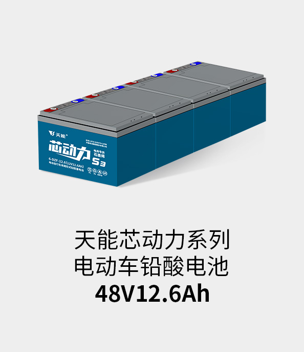 8868体育官网电池48v12ah