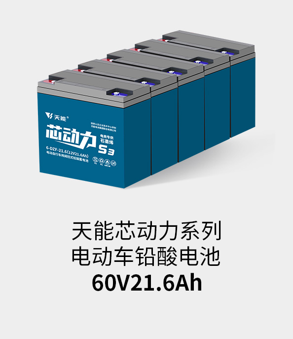 8868体育官网电池60v20ah