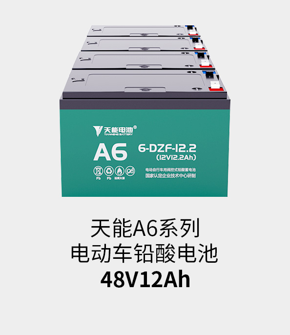 8868体育官网电池48v12ah