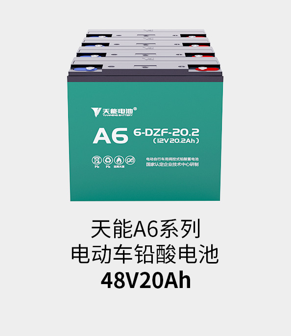 8868体育官网电池48v20ah