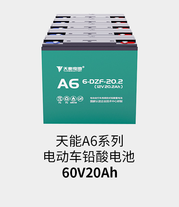 8868体育官网电池60v20ah