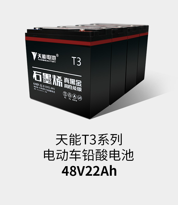 8868体育官网T3系列48v22ah