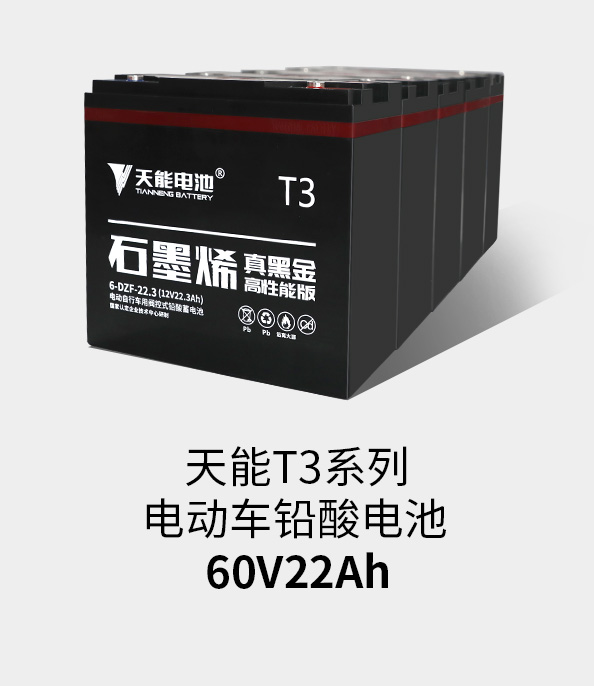 8868体育官网T3系列60v22ah